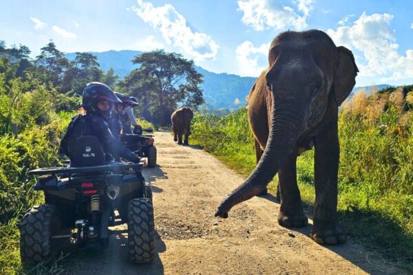 LINE_ALBUM_รูปลูกค้า_260218_1